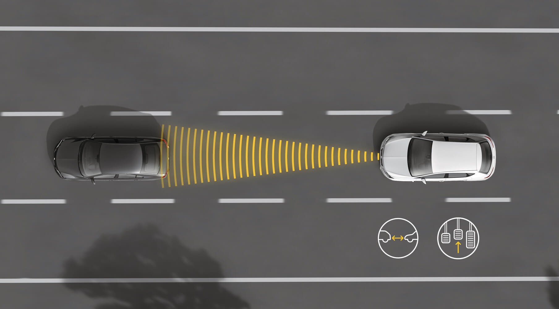 SEAT Front Assist plus City Emergency Braking